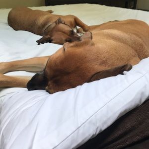 Meet your Posher, Krissy